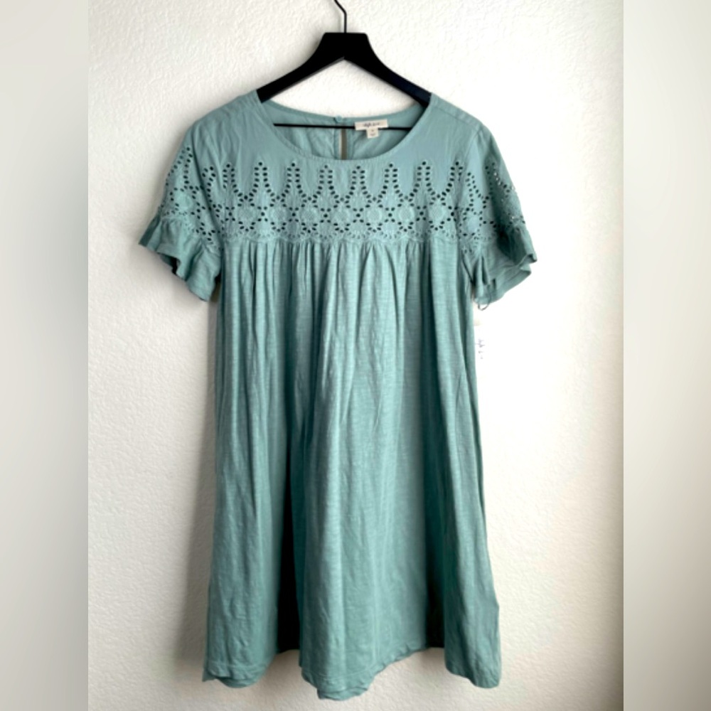 Style & Co Beautiful Lace Dress